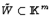 $\tilde W\subset{\rm I\kern -2.2pt K\hskip 1pt}^m$