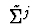 $\ \tilde{\Sigma }^{j}\ $